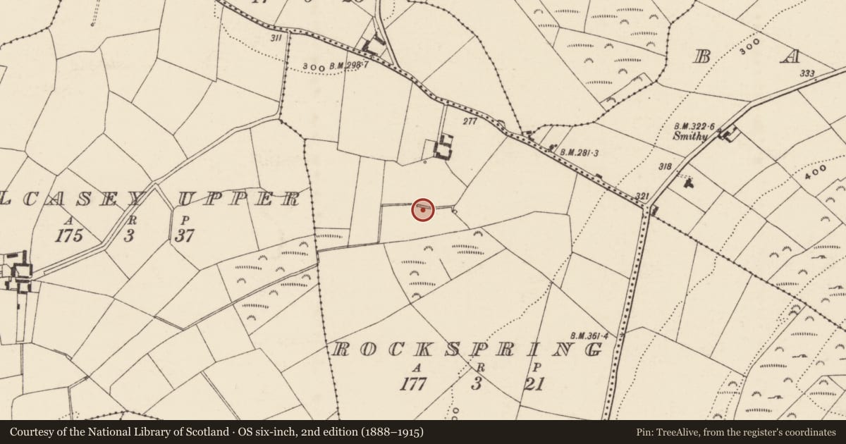 Ordnance Survey six-inch map, 2nd edition (1888–1915) covering the location of Fulacht fia, Rockspring, County Wexford, with a pin at the register's coordinates