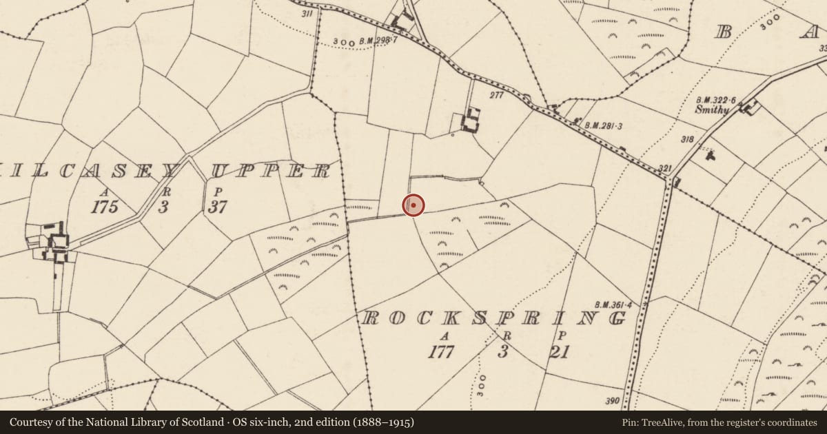 Ordnance Survey six-inch map, 2nd edition (1888–1915) covering the location of Fulacht fia, Rockspring, County Wexford, with a pin at the register's coordinates