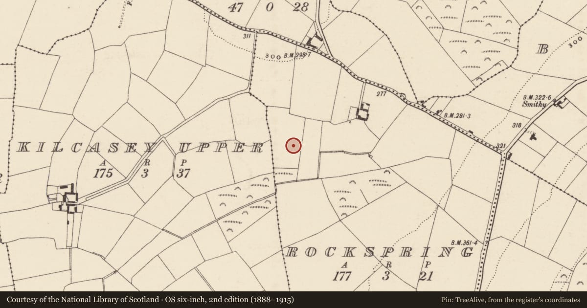 Ordnance Survey six-inch map, 2nd edition (1888–1915) covering the location of Fulacht fia, Rockspring, County Wexford, with a pin at the register's coordinates