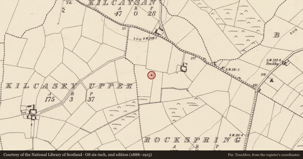 Ordnance Survey six-inch map, 2nd edition (1888–1915) covering the location of Fulacht fia, Rockspring, County Wexford, with a pin at the register's coordinates