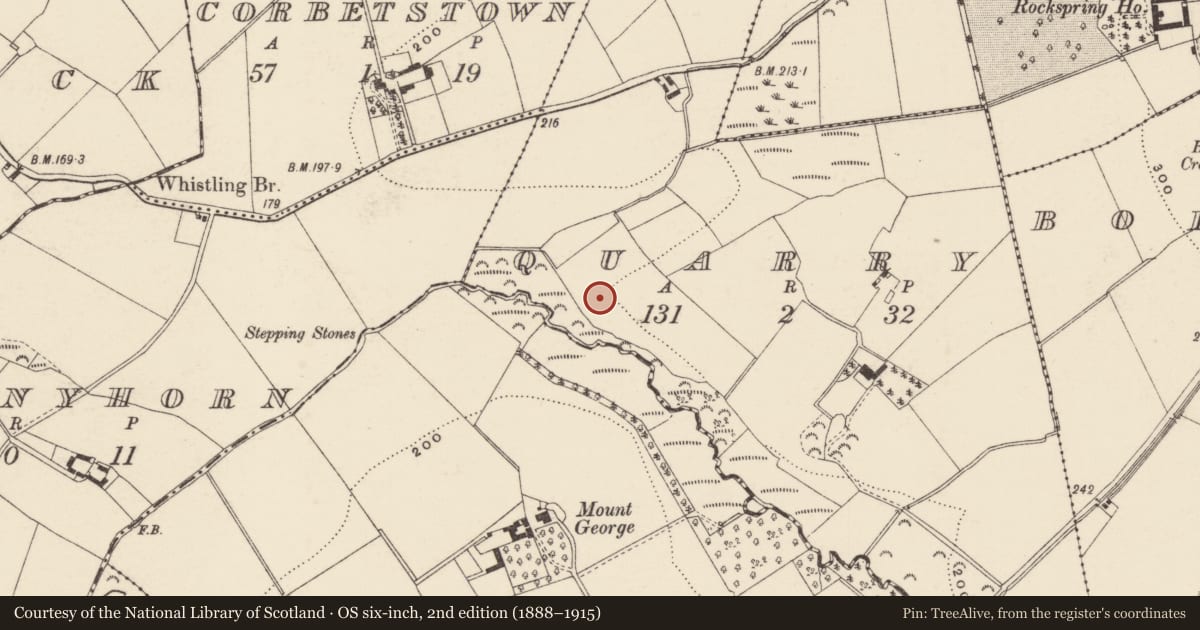 Ordnance Survey six-inch map, 2nd edition (1888–1915) covering the location of Flat cemetery, Quarry, County Wexford, with a pin at the register's coordinates
