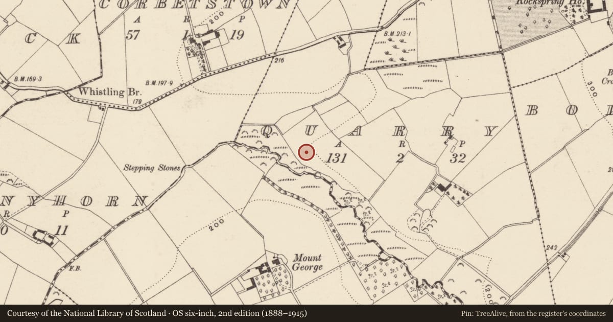 Ordnance Survey six-inch map, 2nd edition (1888–1915) covering the location of Kiln - corn-drying, Quarry, County Wexford, with a pin at the register's coordinates