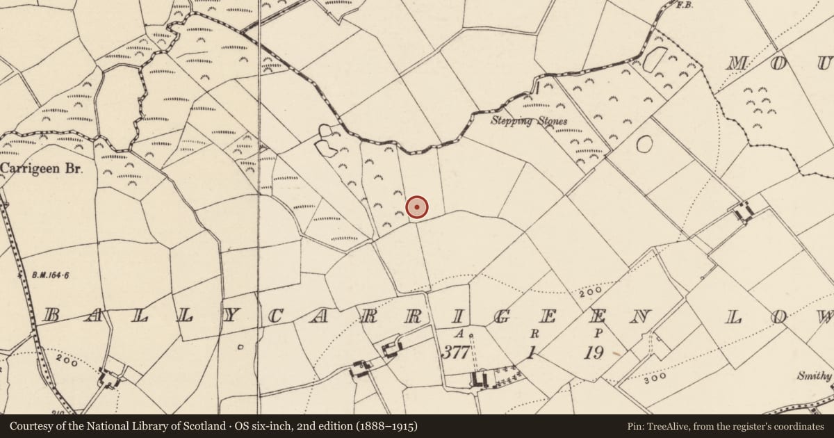 Ordnance Survey six-inch map, 2nd edition (1888–1915) covering the location of Charcoal-making site, Ballycarrigeen Lower, County Wexford, with a pin at the register's coordinates