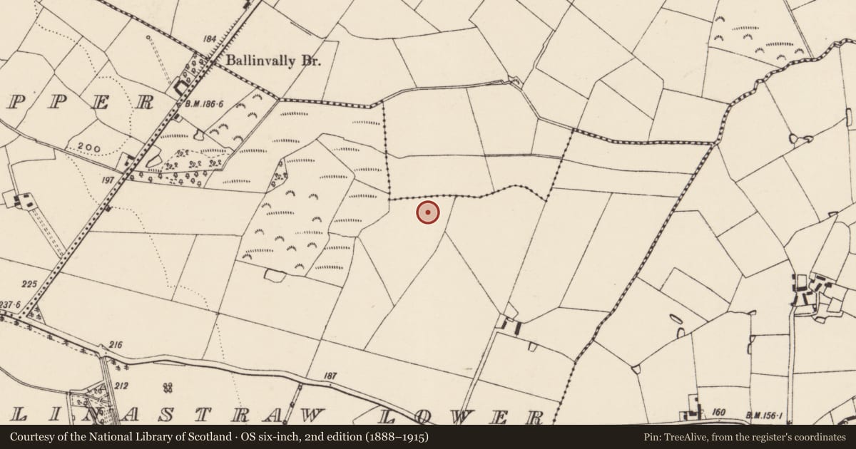 Ordnance Survey six-inch map, 2nd edition (1888–1915) covering the location of Enclosure, Ballinastraw Lower, County Wexford, with a pin at the register's coordinates