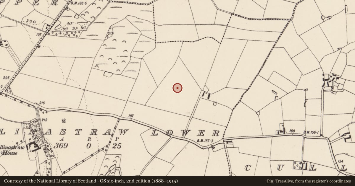 Ordnance Survey six-inch map, 2nd edition (1888–1915) covering the location of Enclosure, Ballinastraw Lower, County Wexford, with a pin at the register's coordinates