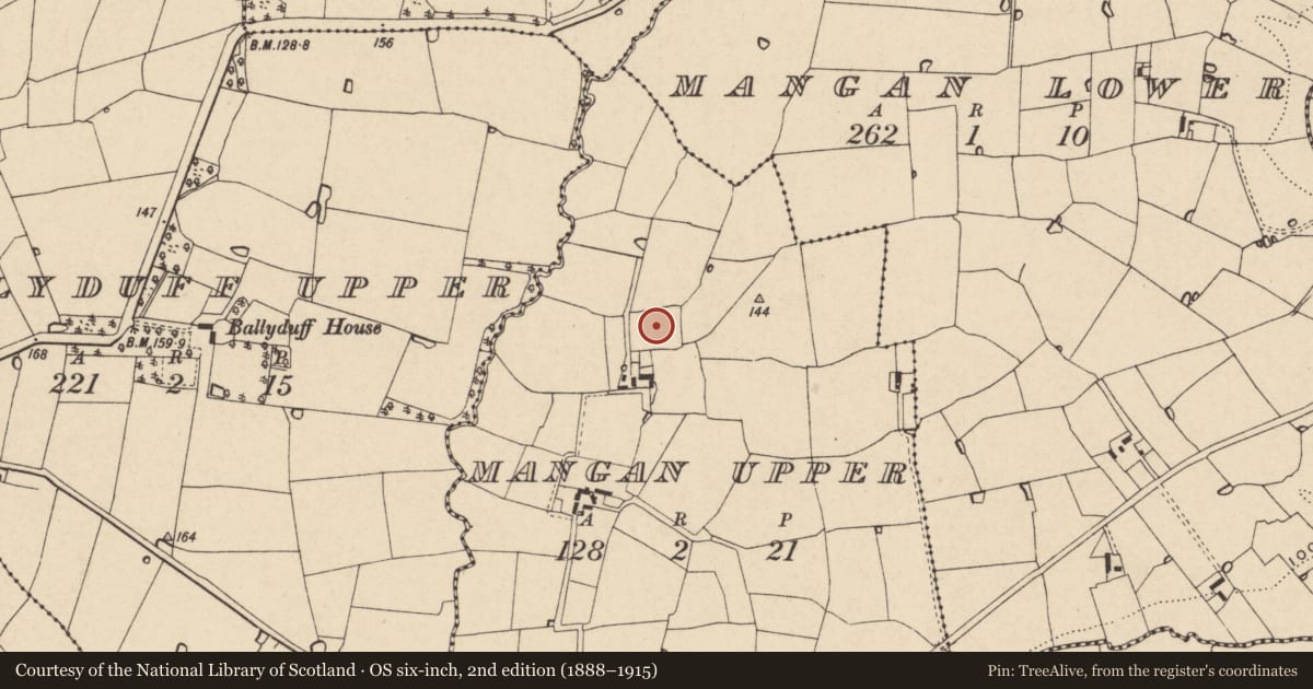 Ordnance Survey six-inch map, 2nd edition (1888–1915) covering the location of Enclosure, Mangan Upper, County Wexford, with a pin at the register's coordinates