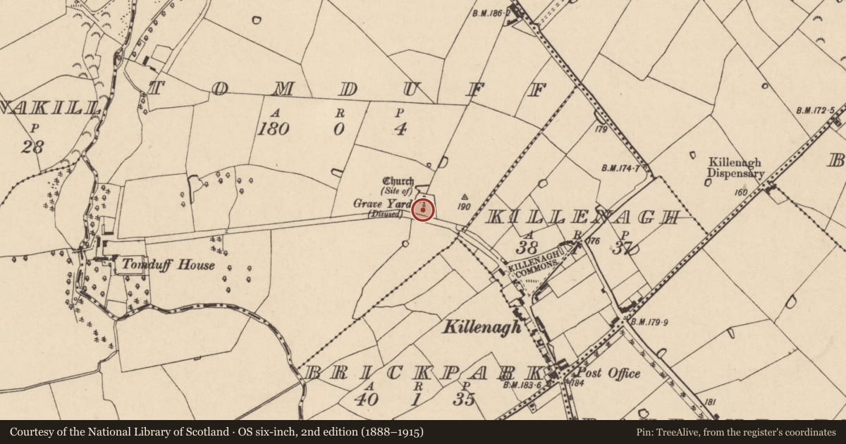 Ordnance Survey six-inch map, 2nd edition (1888–1915) covering the location of Graveyard, Tomduff, County Wexford, with a pin at the register's coordinates