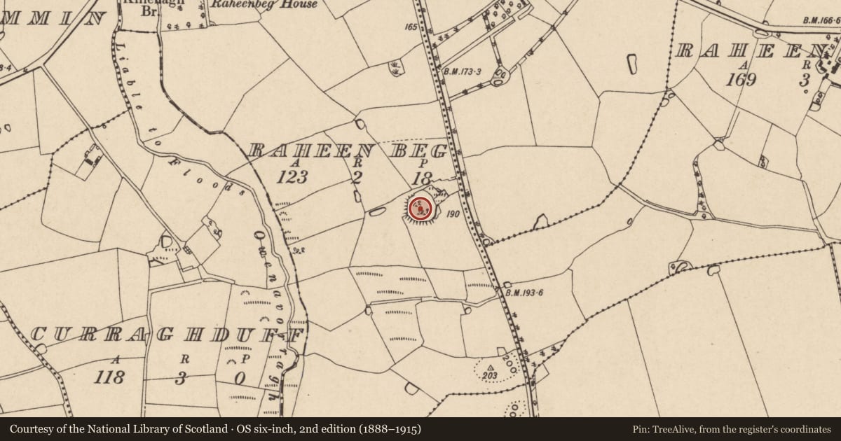 Ordnance Survey six-inch map, 2nd edition (1888–1915) covering the location of Ringfort - rath, Raheen Beg, County Wexford, with a pin at the register's coordinates