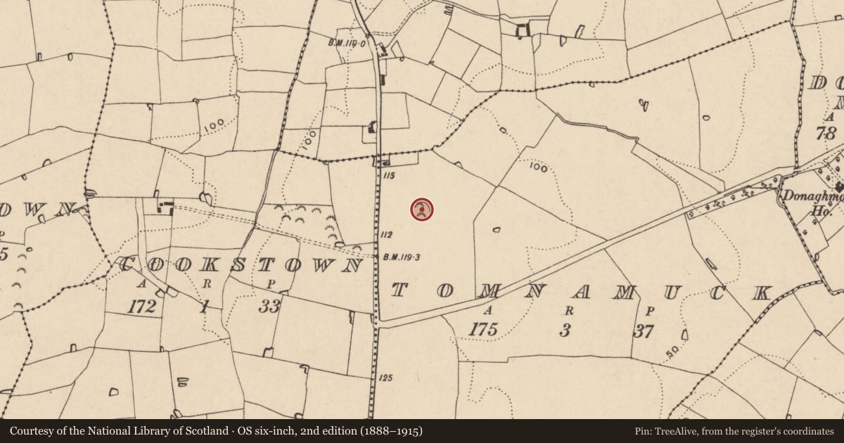 Ordnance Survey six-inch map, 2nd edition (1888–1915) covering the location of Ringfort - rath, Tomnamuck, County Wexford, with a pin at the register's coordinates