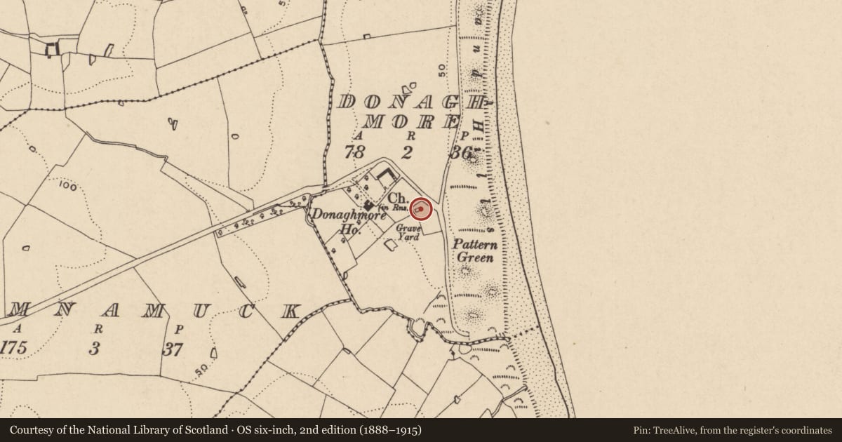 Ordnance Survey six-inch map, 2nd edition (1888–1915) covering the location of Church, Donaghmore, County Wexford, with a pin at the register's coordinates