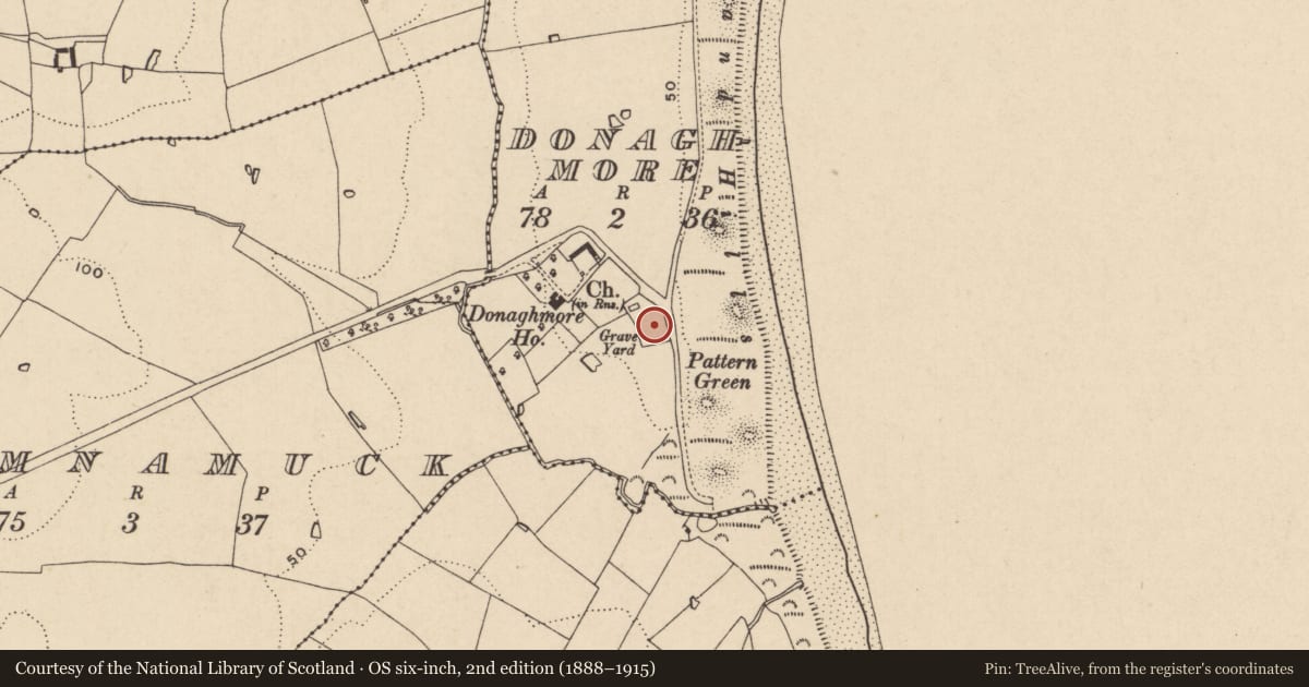 Ordnance Survey six-inch map, 2nd edition (1888–1915) covering the location of Graveyard, Donaghmore, County Wexford, with a pin at the register's coordinates