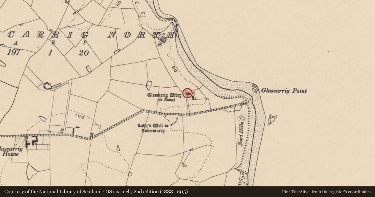 Ordnance Survey six-inch map, 2nd edition (1888–1915) covering the location of Religious house - Monks of the Order of Tiron, Glascarrig North, County Wexford, with a pin at the register's coordinates