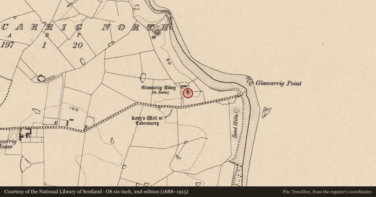 Ordnance Survey six-inch map, 2nd edition (1888–1915) covering the location of Excavation - miscellaneous, Glascarrig North, County Wexford, with a pin at the register's coordinates