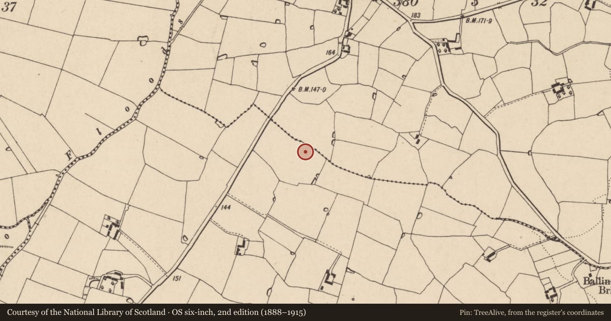 Ordnance Survey six-inch map, 2nd edition (1888–1915) covering the location of Ringfort - rath, Ballyart, Ballyoughna, County Wexford, with a pin at the register's coordinates