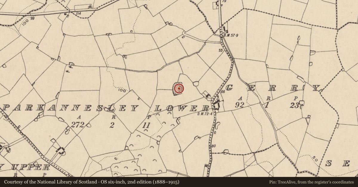 Ordnance Survey six-inch map, 2nd edition (1888–1915) covering the location of Moated site, Parkannesley Lower, County Wexford, with a pin at the register's coordinates