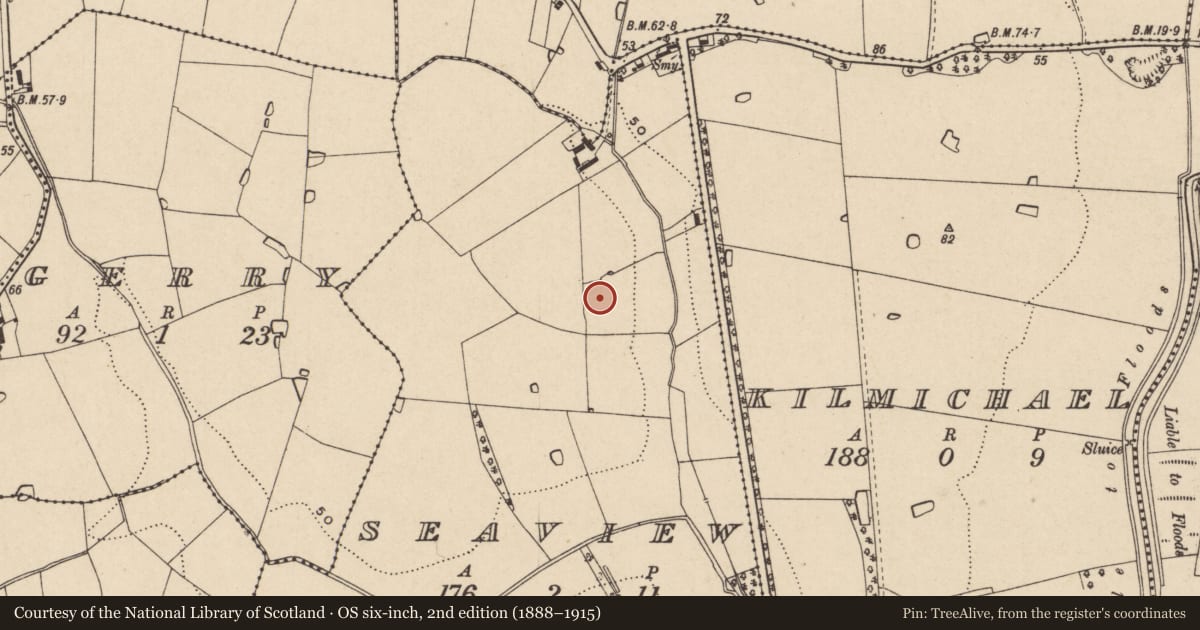 Ordnance Survey six-inch map, 2nd edition (1888–1915) covering the location of Moated site, Seaview, County Wexford, with a pin at the register's coordinates