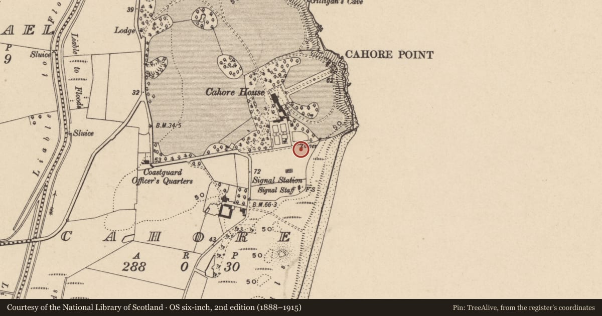 Ordnance Survey six-inch map, 2nd edition (1888–1915) covering the location of Signal tower, Cahore, County Wexford, with a pin at the register's coordinates