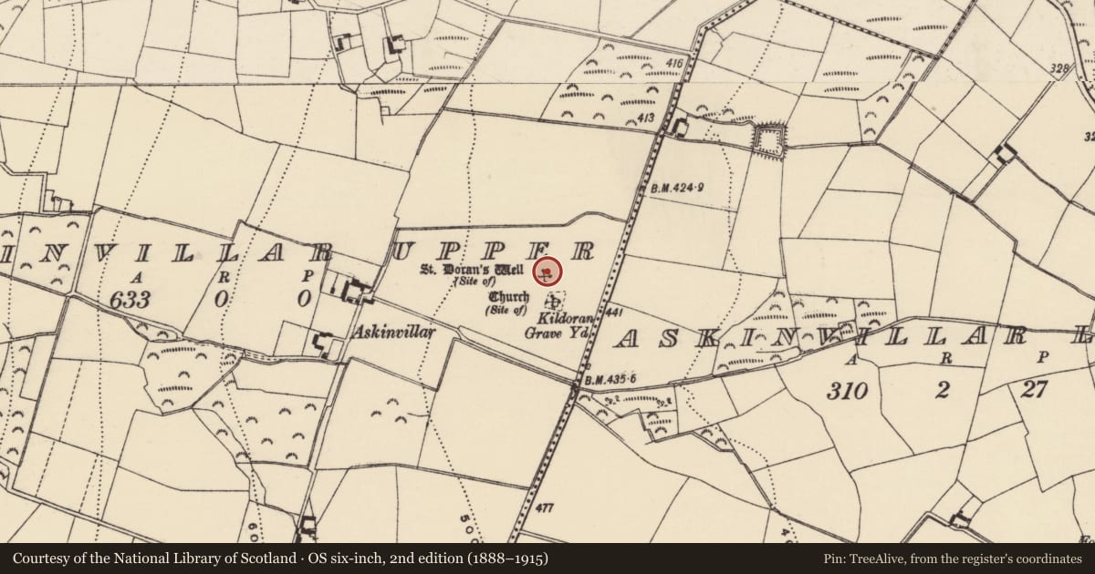Ordnance Survey six-inch map, 2nd edition (1888–1915) covering the location of Ritual site - holy well, Askinvillar Upper, County Wexford, with a pin at the register's coordinates
