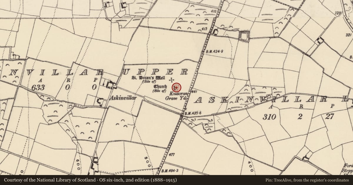 Ordnance Survey six-inch map, 2nd edition (1888–1915) covering the location of Cross, Askinvillar Upper, County Wexford, with a pin at the register's coordinates