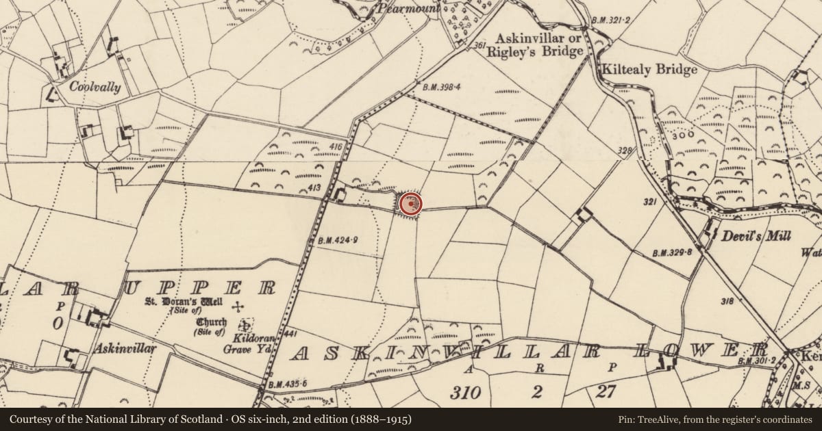 Ordnance Survey six-inch map, 2nd edition (1888–1915) covering the location of Moated site, Askinvillar Lower, County Wexford, with a pin at the register's coordinates