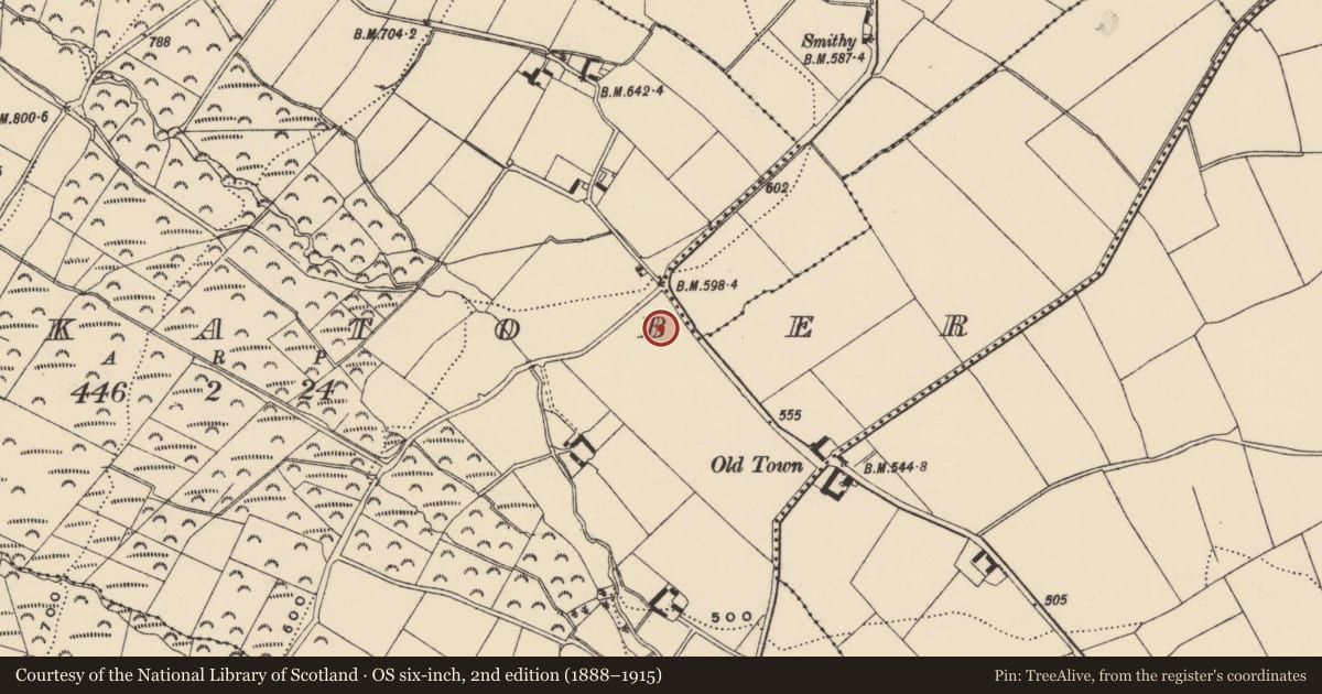 Ordnance Survey six-inch map, 2nd edition (1888–1915) covering the location of Moated site, Knockatober, County Wexford, with a pin at the register's coordinates