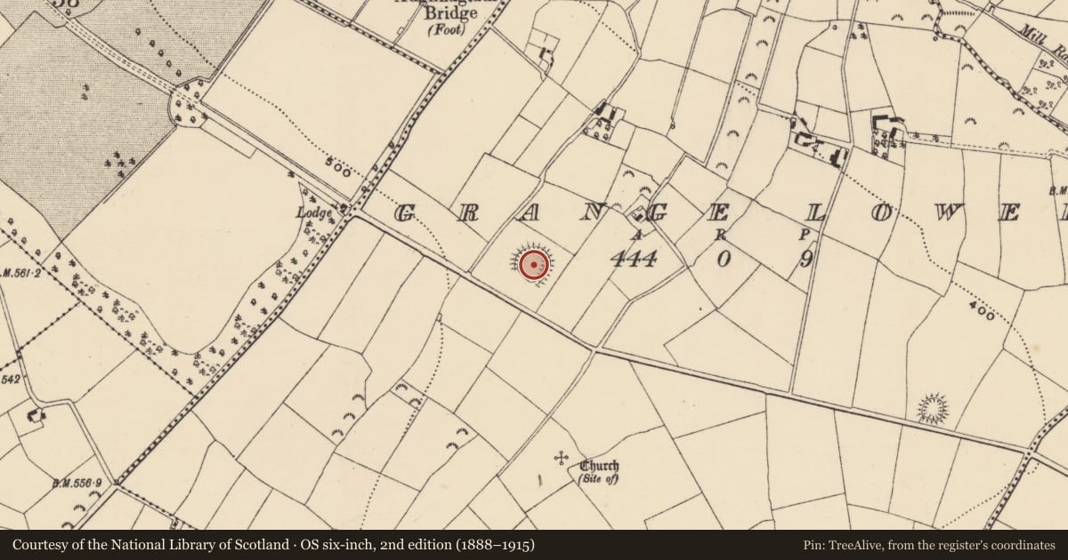 Ordnance Survey six-inch map, 2nd edition (1888–1915) covering the location of Ringfort - rath, Grange Lower, County Wexford, with a pin at the register's coordinates