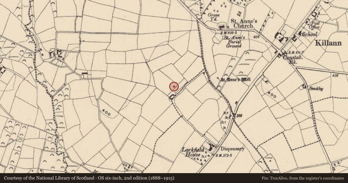 Ordnance Survey six-inch map, 2nd edition (1888–1915) covering the location of Moated site, Rathduff, County Wexford, with a pin at the register's coordinates
