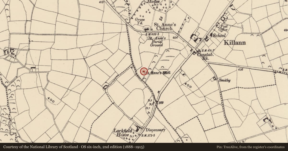 Ordnance Survey six-inch map, 2nd edition (1888–1915) covering the location of Ritual site - holy well, Killann, County Wexford, with a pin at the register's coordinates