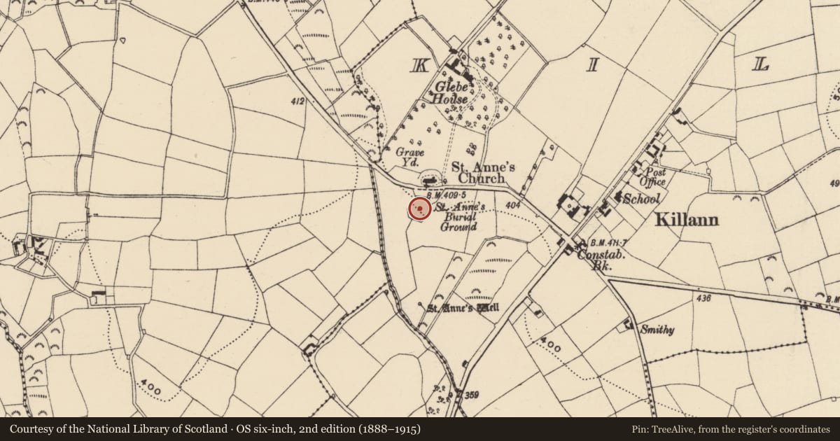 Ordnance Survey six-inch map, 2nd edition (1888–1915) covering the location of Ecclesiastical enclosure, Killann, County Wexford, with a pin at the register's coordinates