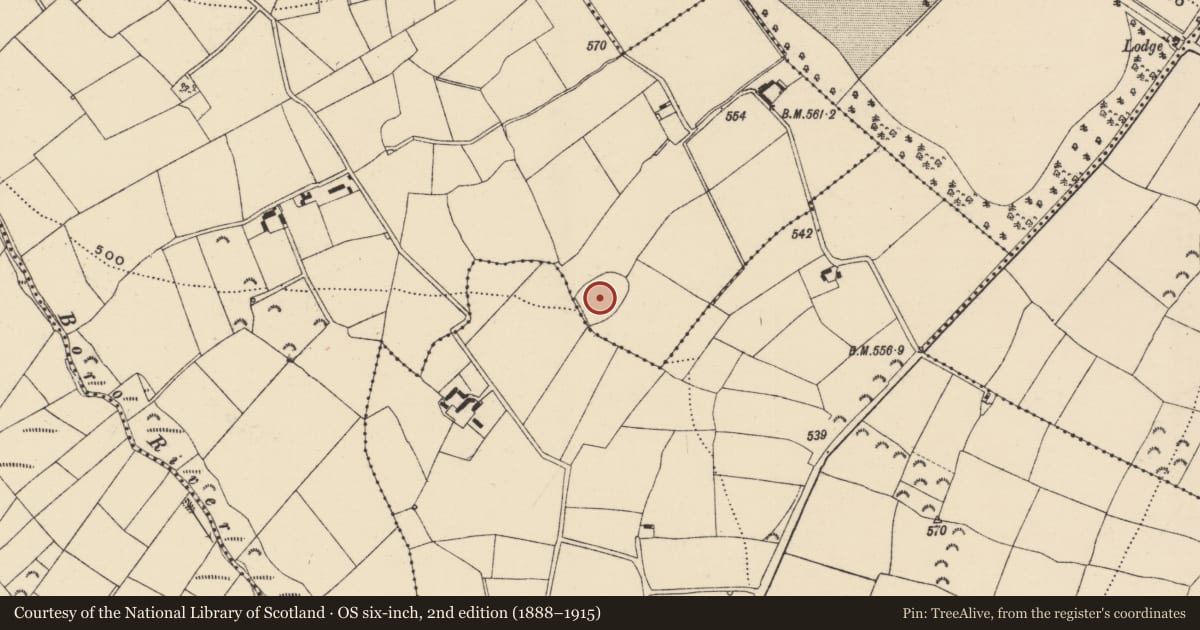 Ordnance Survey six-inch map, 2nd edition (1888–1915) covering the location of Enclosure, Corrageen, Grange Upper, County Wexford, with a pin at the register's coordinates