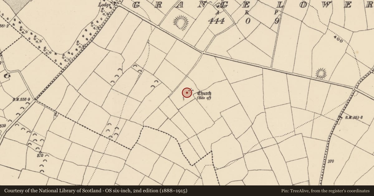 Ordnance Survey six-inch map, 2nd edition (1888–1915) covering the location of Graveyard, Grange Lower, County Wexford, with a pin at the register's coordinates