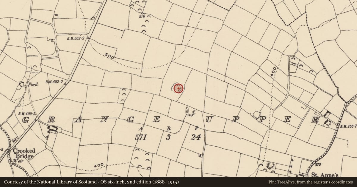 Ordnance Survey six-inch map, 2nd edition (1888–1915) covering the location of Ringfort - rath, Grange Upper, County Wexford, with a pin at the register's coordinates