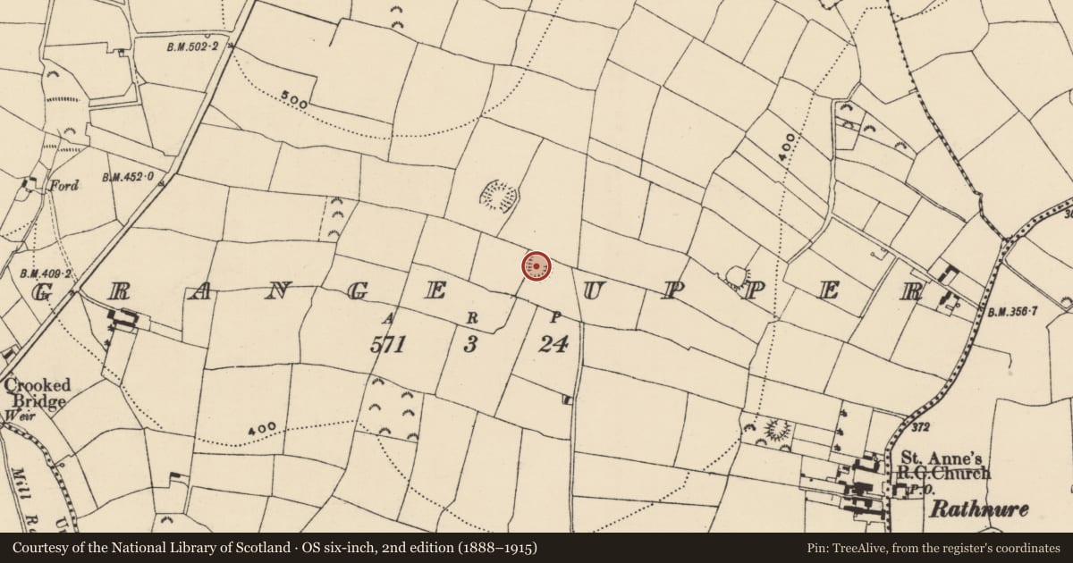Ordnance Survey six-inch map, 2nd edition (1888–1915) covering the location of Ringfort - rath, Grange Upper, County Wexford, with a pin at the register's coordinates