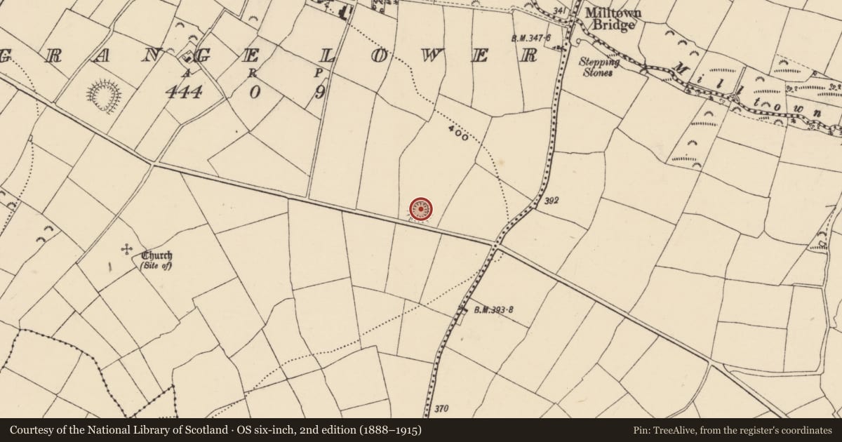 Ordnance Survey six-inch map, 2nd edition (1888–1915) covering the location of Ringfort - rath, Grange Lower, County Wexford, with a pin at the register's coordinates