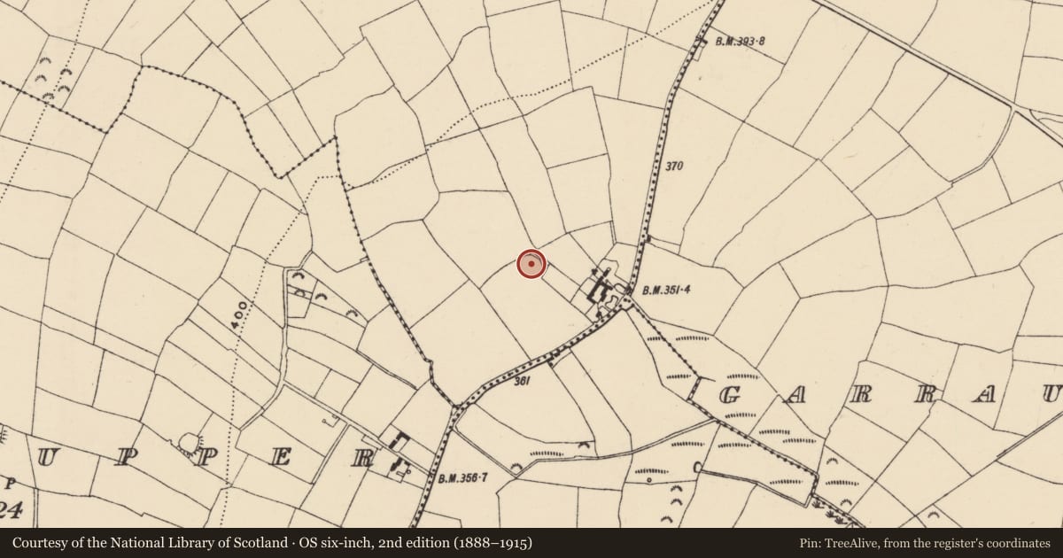 Ordnance Survey six-inch map, 2nd edition (1888–1915) covering the location of Ringfort - rath, Grange Lower, County Wexford, with a pin at the register's coordinates