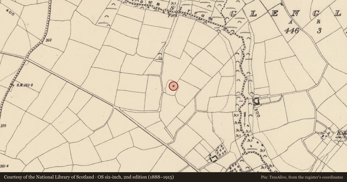 Ordnance Survey six-inch map, 2nd edition (1888–1915) covering the location of Ringfort - unclassified, Garraun Upper, County Wexford, with a pin at the register's coordinates