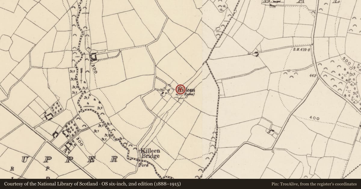 Ordnance Survey six-inch map, 2nd edition (1888–1915) covering the location of Church, Glenglass, County Wexford, with a pin at the register's coordinates