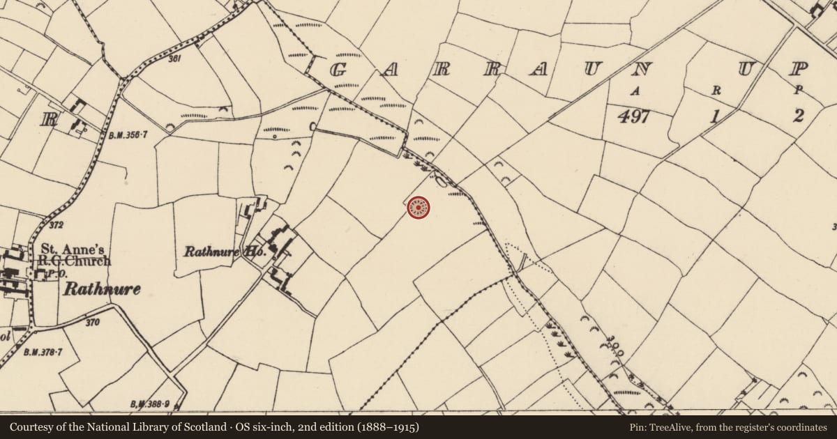 Ordnance Survey six-inch map, 2nd edition (1888–1915) covering the location of Ringfort - rath, Rathnure Upper, County Wexford, with a pin at the register's coordinates