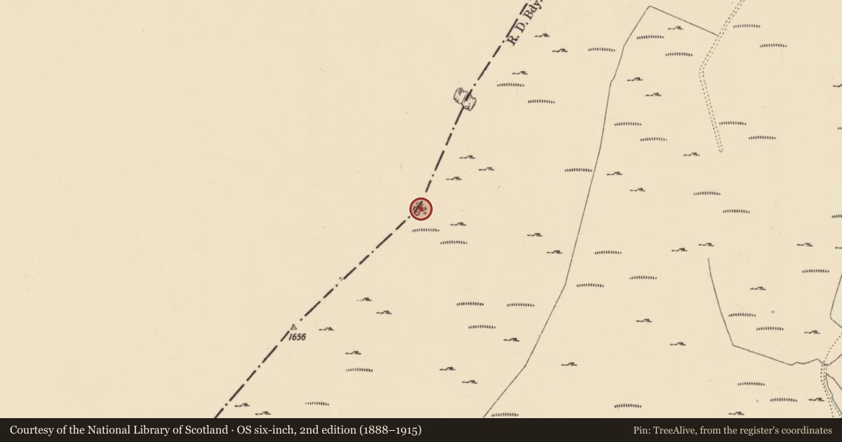 Ordnance Survey six-inch map, 2nd edition (1888–1915) covering the location of Cairn - ring-cairn, Bantry Commons, County Wexford, with a pin at the register's coordinates