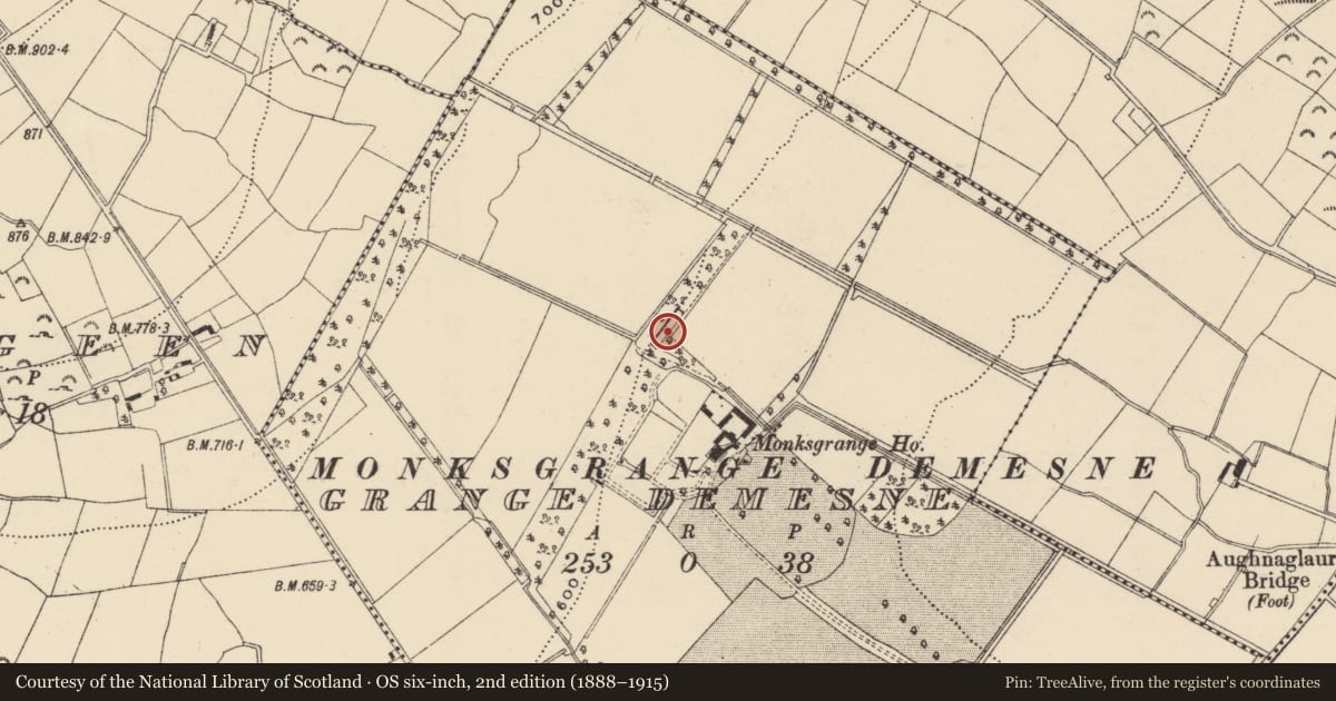 Ordnance Survey six-inch map, 2nd edition (1888–1915) covering the location of Fish-pond, Grange Demesne, County Wexford, with a pin at the register's coordinates
