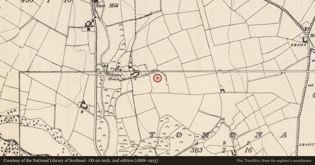 Ordnance Survey six-inch map, 2nd edition (1888–1915) covering the location of Enclosure - large enclosure, Tomona, County Wexford, with a pin at the register's coordinates