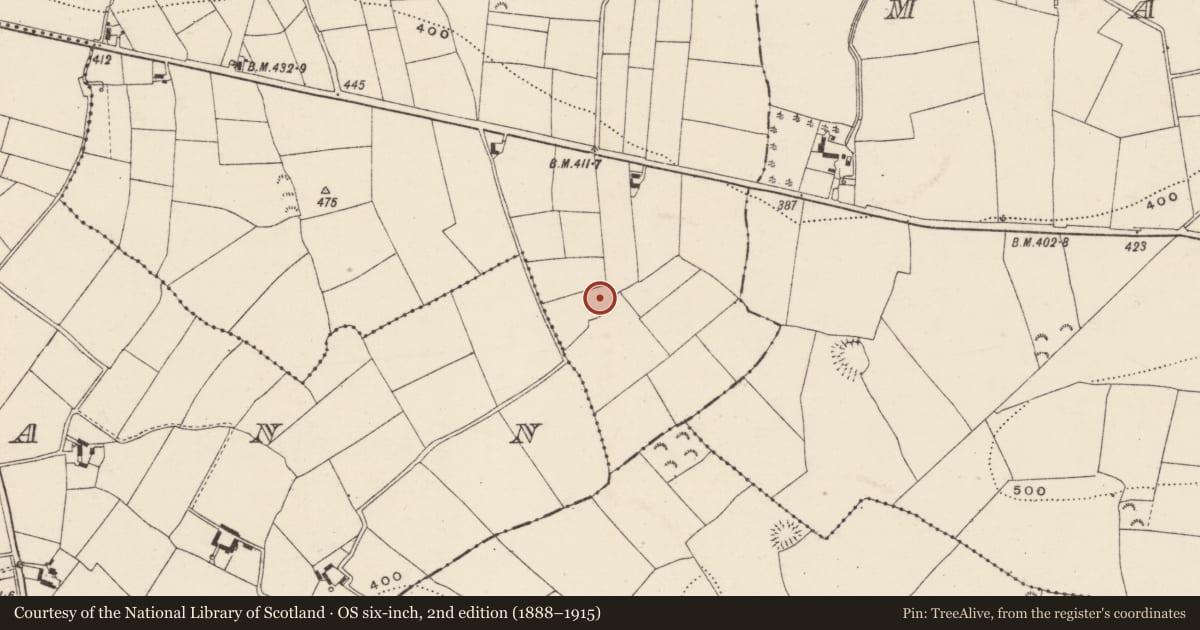 Ordnance Survey six-inch map, 2nd edition (1888–1915) covering the location of Ringfort - rath, Greenan, County Wexford, with a pin at the register's coordinates