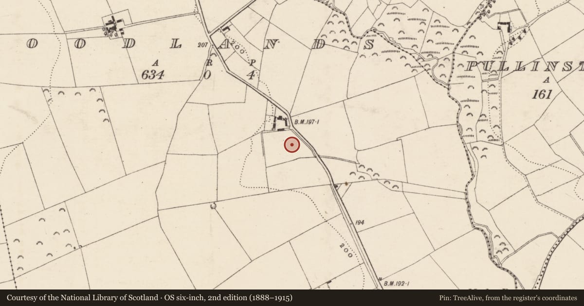 Ordnance Survey six-inch map, 2nd edition (1888–1915) covering the location of Ringfort - unclassified, Woodlands, County Wexford, with a pin at the register's coordinates