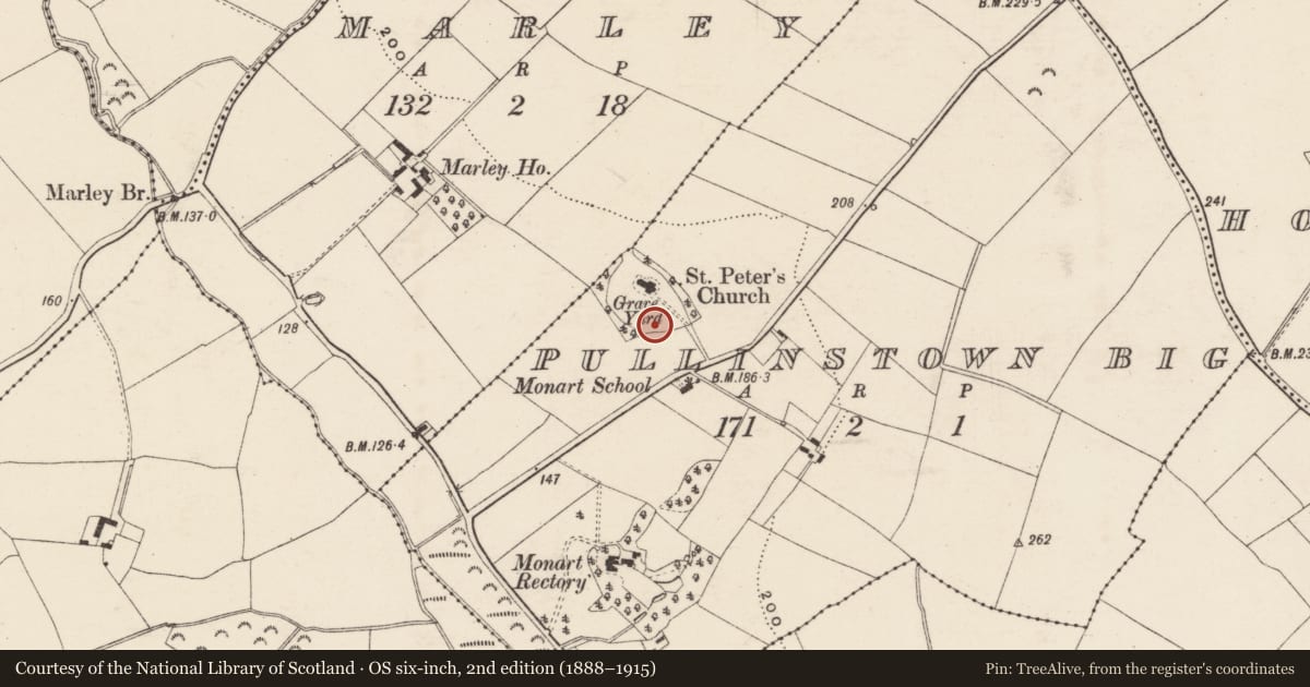 Ordnance Survey six-inch map, 2nd edition (1888–1915) covering the location of Church, Pullingstown Big, County Wexford, with a pin at the register's coordinates