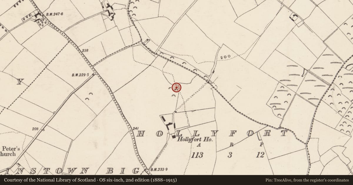 Ordnance Survey six-inch map, 2nd edition (1888–1915) covering the location of Ringfort - rath, Hollyfort, County Wexford, with a pin at the register's coordinates