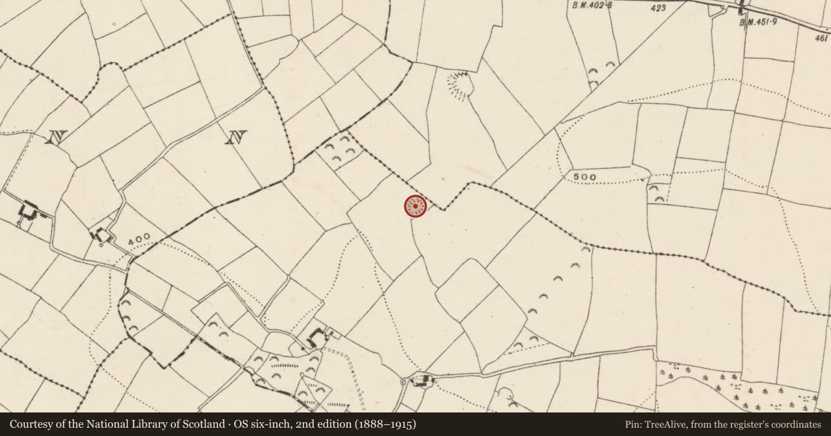 Ordnance Survey six-inch map, 2nd edition (1888–1915) covering the location of Ringfort - rath, Aughathlappa, County Wexford, with a pin at the register's coordinates