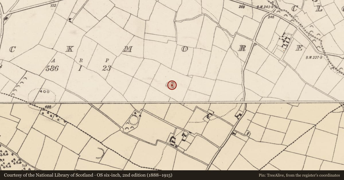 Ordnance Survey six-inch map, 2nd edition (1888–1915) covering the location of Ringfort - rath, Knockmore, County Wexford, with a pin at the register's coordinates