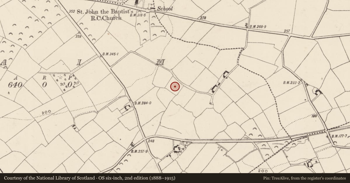 Ordnance Survey six-inch map, 2nd edition (1888–1915) covering the location of Church, Caim, County Wexford, with a pin at the register's coordinates