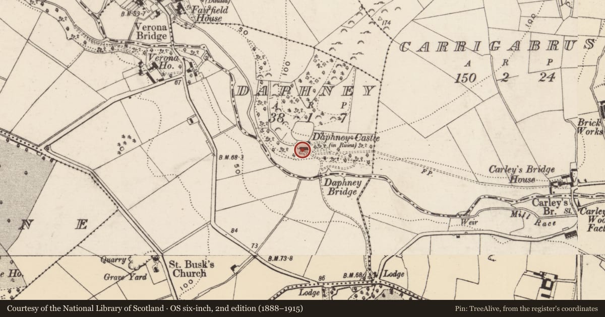 Ordnance Survey six-inch map, 2nd edition (1888–1915) covering the location of Castle - unclassified, Daphney, County Wexford, with a pin at the register's coordinates