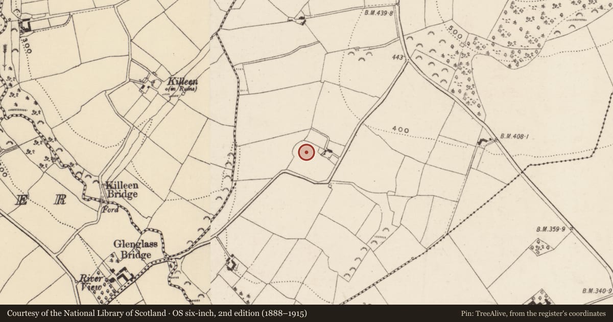 Ordnance Survey six-inch map, 2nd edition (1888–1915) covering the location of Ringfort - rath, Ballyhighland, County Wexford, with a pin at the register's coordinates